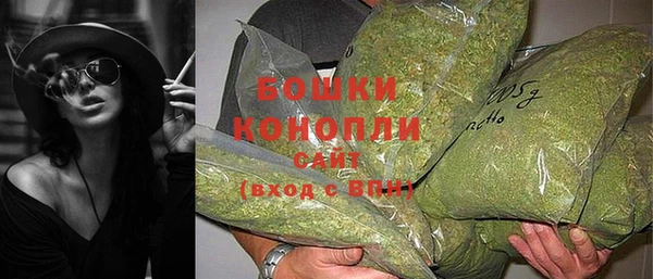 гидра Белоозёрский