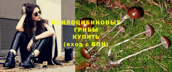 скорость Белокуриха