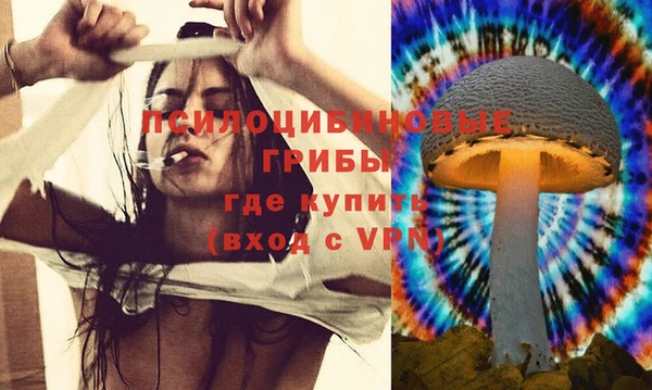 гидра Белоозёрский